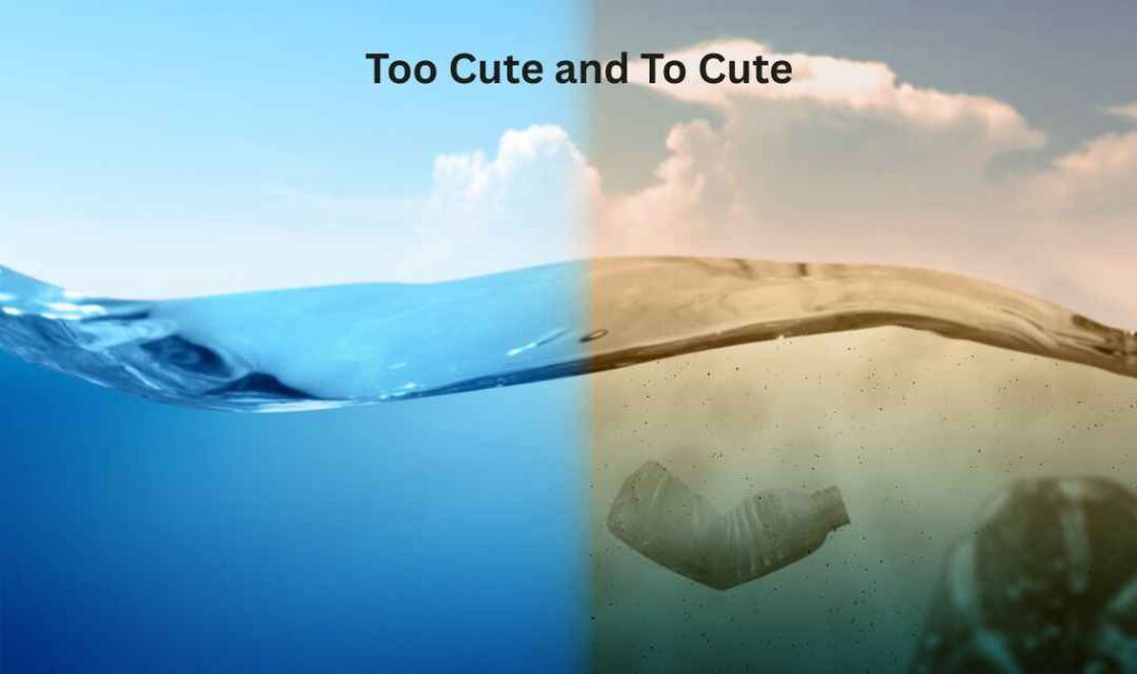 Main Differences Between Too Cute Meaning and To Cute