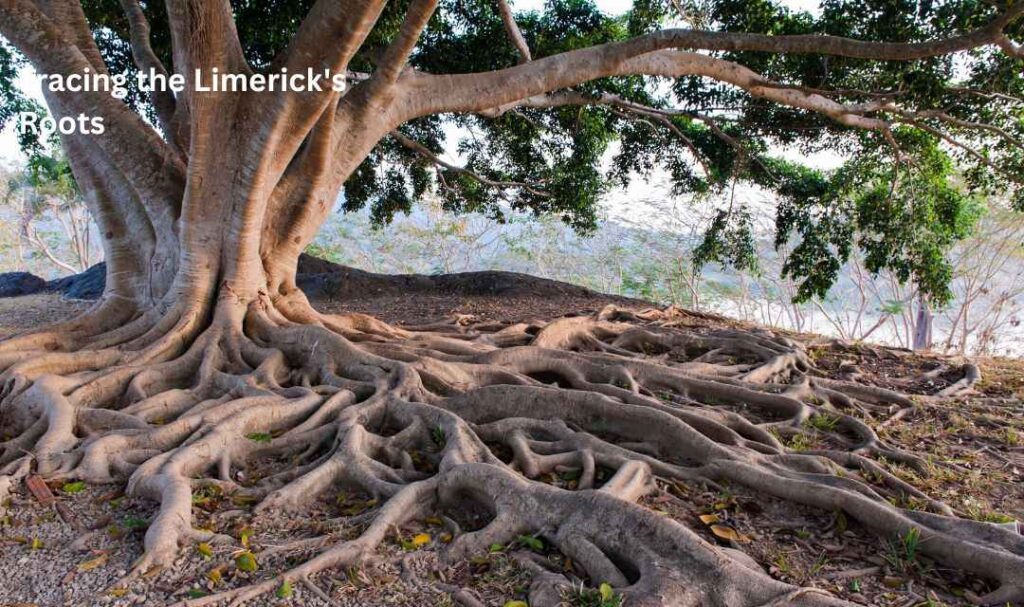 Tracing the Limerick's Roots