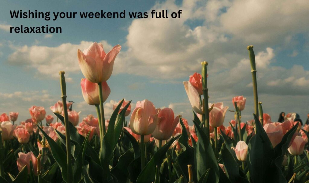 Wishing your weekend was full of relaxation