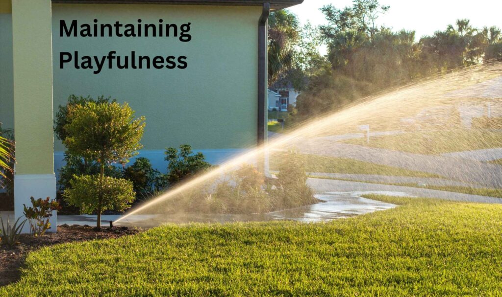 Maintaining Playfulness