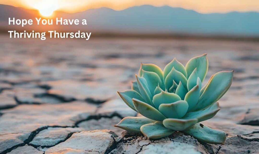 Hope You Have a Thriving Thursday