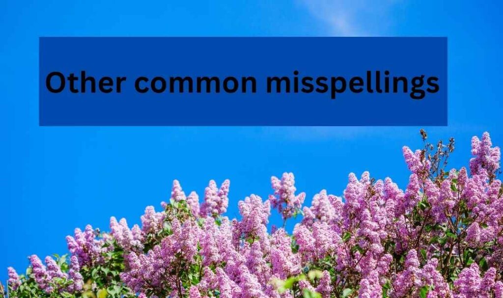 Other common misspellings