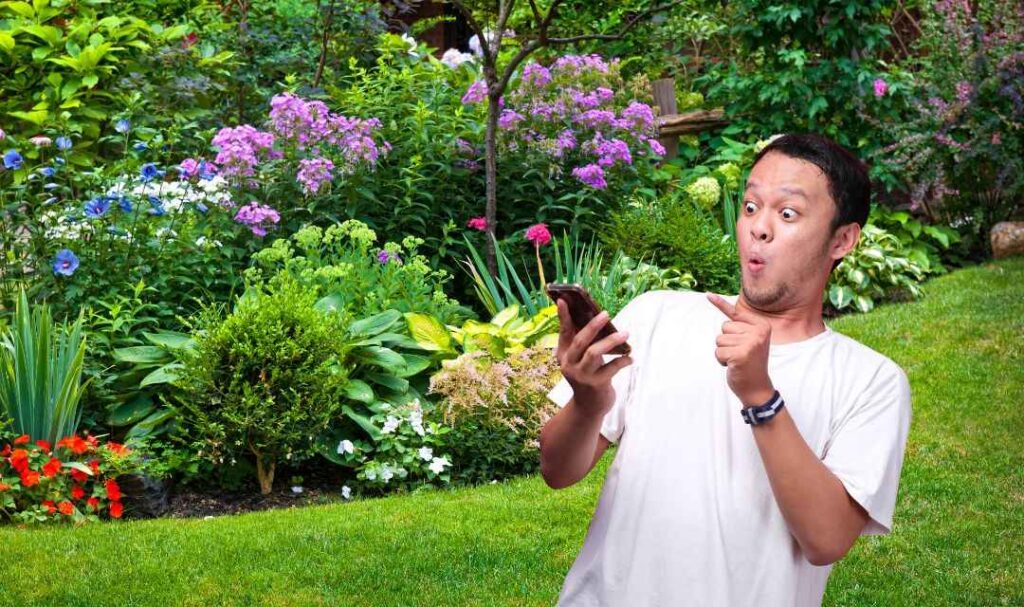 When to Use the Response “Thank You for Letting Me Know”